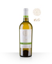  "Talò Verdeca"-Puglia-wine-blog-weloveitalyeu